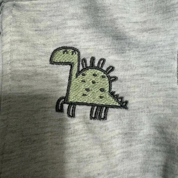 Mini Bean green and gray dinosaur set baby boy sweats fall winter (Size 3/6 M) - Picture 5 of 8